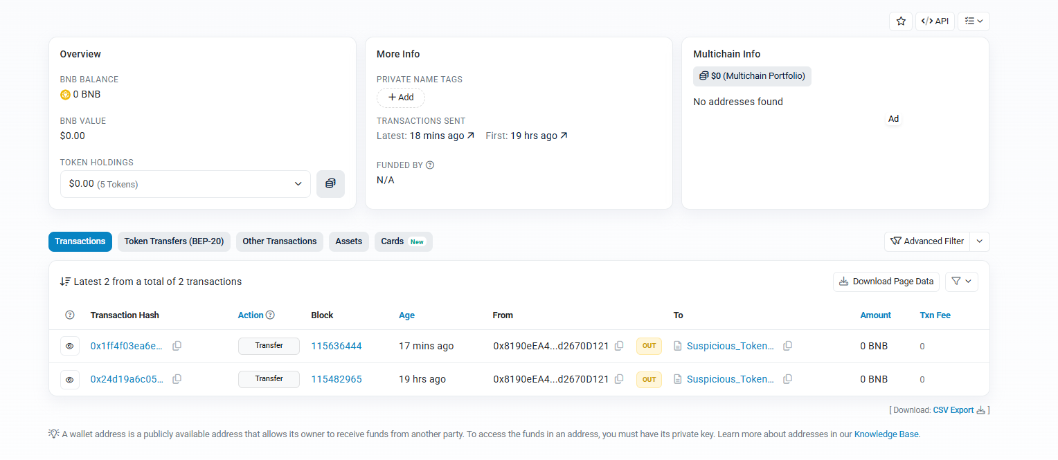 BscScan overview of the sender wallet showing 0 BNB balance, $0.00 value, 2 total transactions